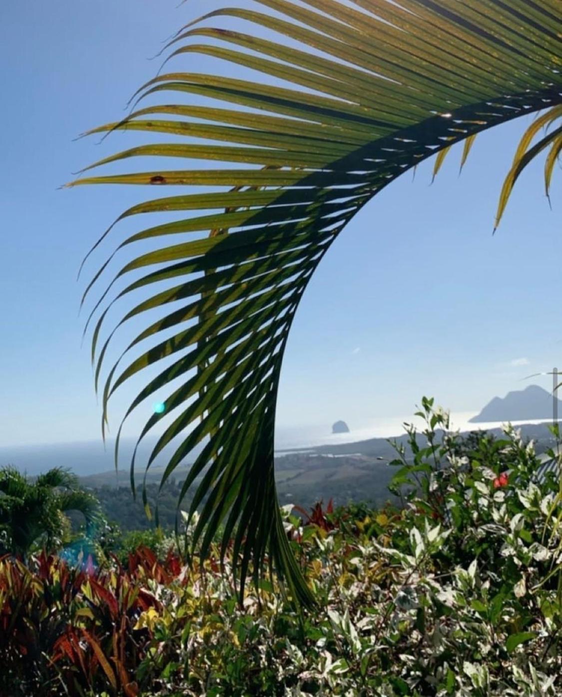 Les Villas Pameyaque 2 F2 Avec 1 Piscine Et 1 F3 Avec 1 Piscine, Superbe Vue Sur La Mer Riviere-Salee Εξωτερικό φωτογραφία