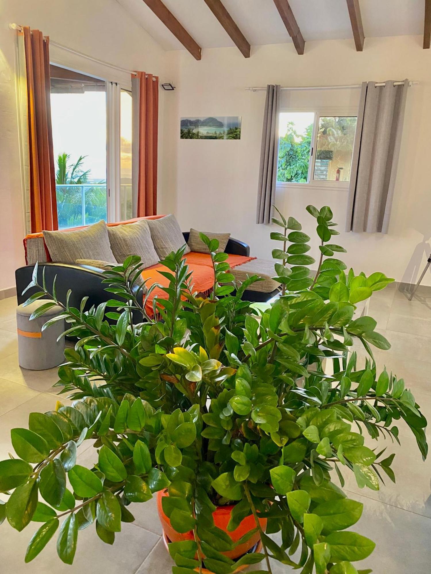 Les Villas Pameyaque 2 F2 Avec 1 Piscine Et 1 F3 Avec 1 Piscine, Superbe Vue Sur La Mer Riviere-Salee Εξωτερικό φωτογραφία